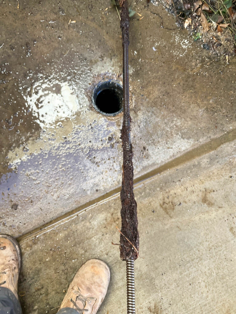 AZSP Drain Blockage